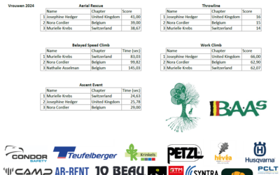 Results preliminary BTCC 2024